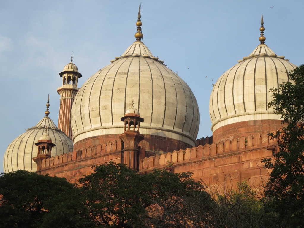 The Friday Mosque, Delhi, India.