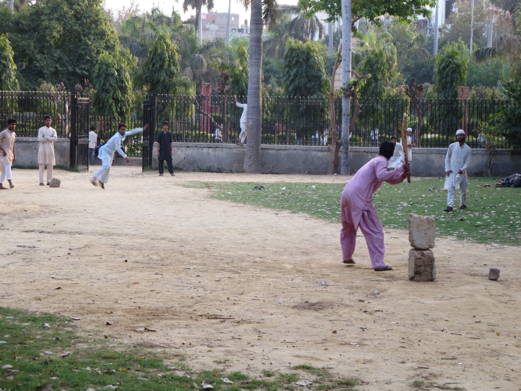 Cricket in the park, Delhi, India.