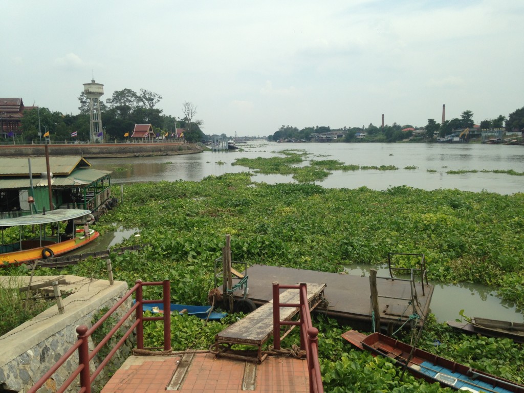 The Confluence Chao Phraya and the Pa Sak