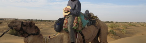 A Camel Kneeling for Dismount