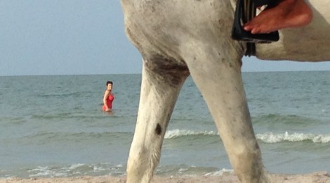 Alison Enjoys the Ocean As a Horse Passes By